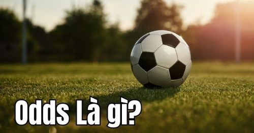 Odds là gì? Các dạng tỷ lệ cược trong bóng đá có thể bạn chưa biết