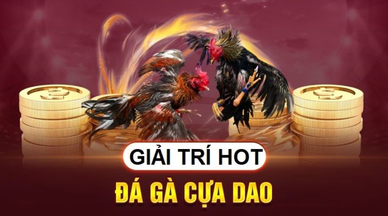 Đá Gà Cựa Dao – Cá Cược Những Trận Đấu Kịch Tính Tại Win55