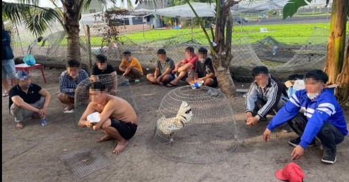 Các cuộc đá gà ăn tiền lớn tại vùng ven sài gòn